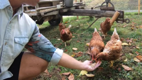 blog nazomeren in Frankrijk