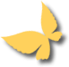 vlinderorange