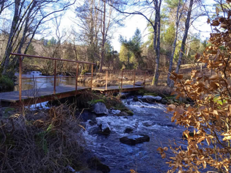 Tourbiere de la Mazure 4
