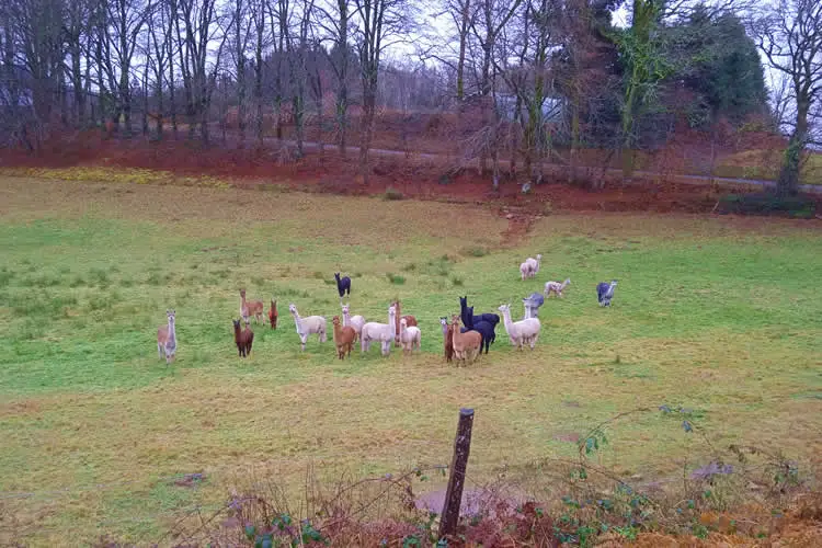 autour du bois de crozat 3