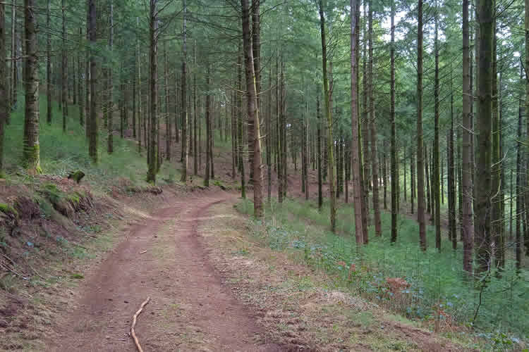 Boucle du mont Larron 16