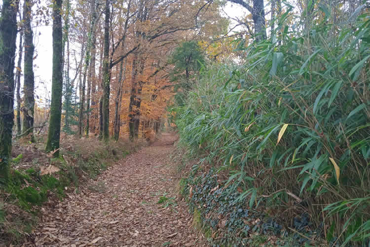 Circuit prieuré de l’Artige