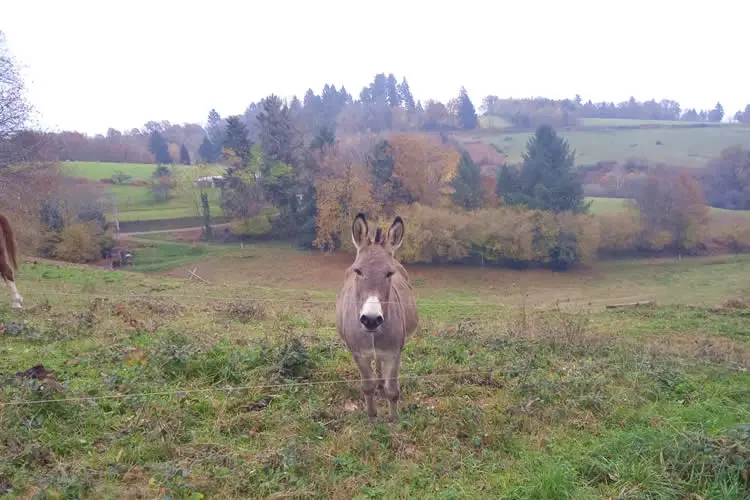 circuit prieuré de l'artige 7