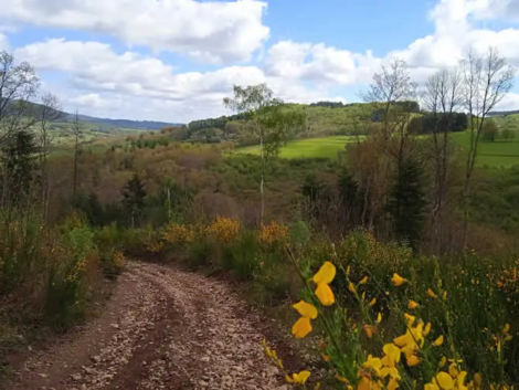 les hauts de bujaleuf 2